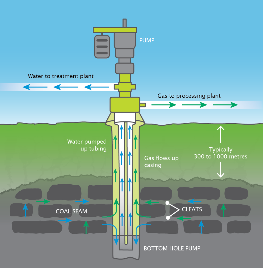 Schematic diagram showing CSG extraction process