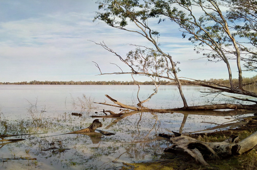 Water and vegetation in Narrabri Gas Project area