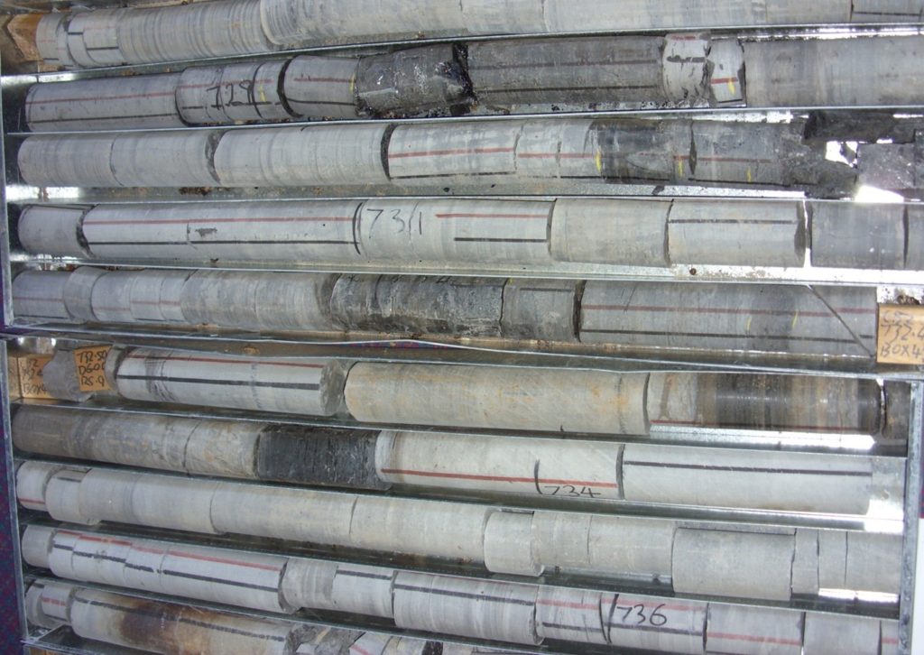 Cores from Walloon Coal Measure, Surat Basin