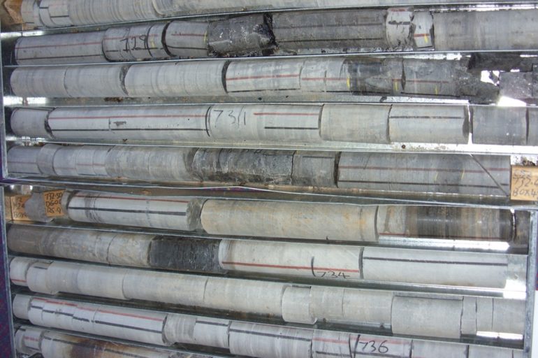Cores from Walloon Coal Measure, Surat Basin