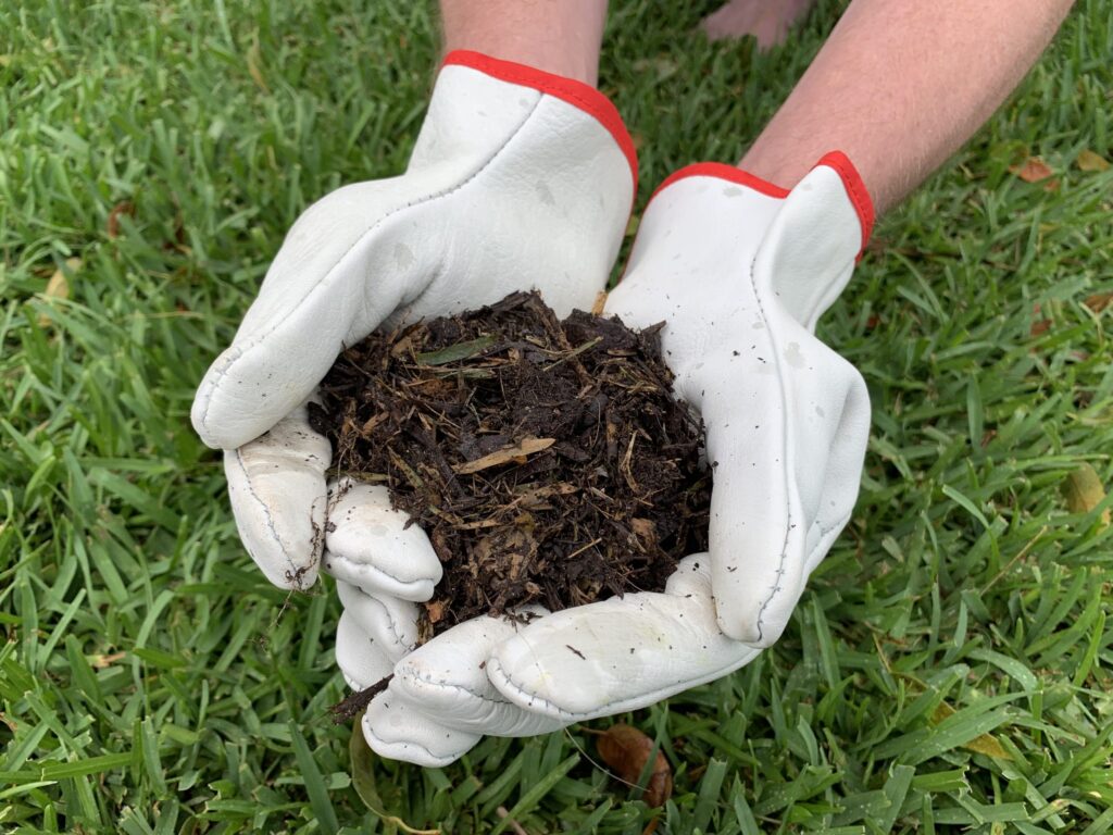 Handful of soil