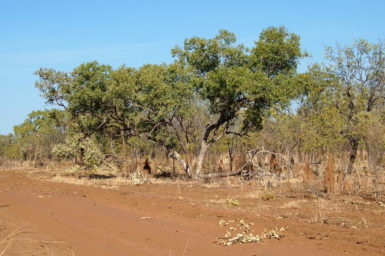 Landscape in the Beetaloo Basin, Northern Territory