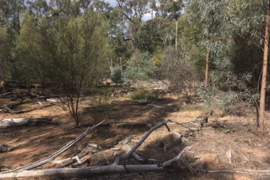 Site of an abandoned gas well in the Pilliga Forest with dry land and shrubbery