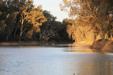 Minkie Waterhole full of water, with the sun shining on it and surrounded by large trees and banks