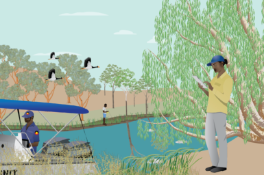 Illustration showing NT river system with people and wildlife