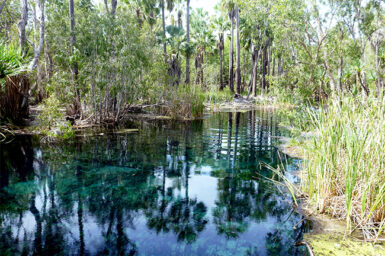 Elsey National Park