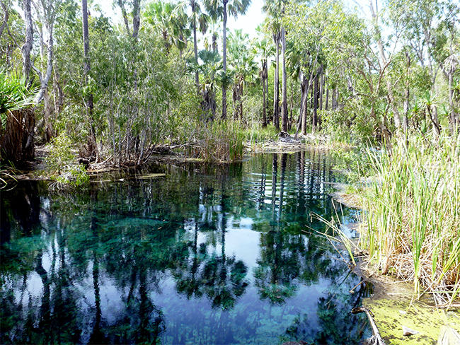 Elsey National Park
