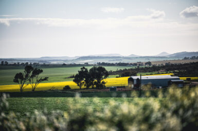 Mid West Region WA landscape