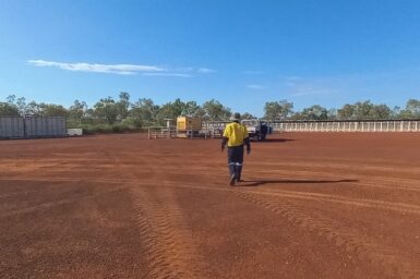 CSIRO researcher walking in a field environment in the NT