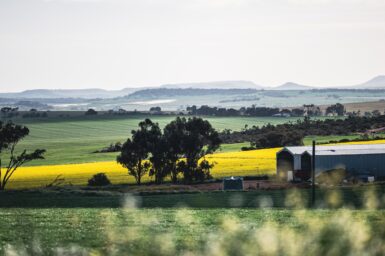 Landscape in the northern Perth Basin showing hills, fields and sheds