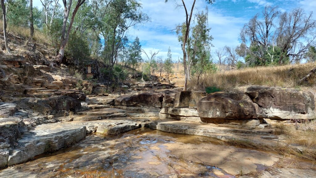 A natural spring in an outcrop of Precipice Sandstone in the Surat Basin.