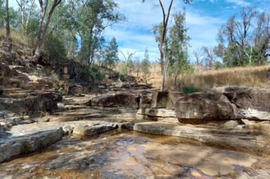 A natural spring in an outcrop of Precipice Sandstone in the Surat Basin.