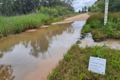 Tullamullen Creek, Narrabri