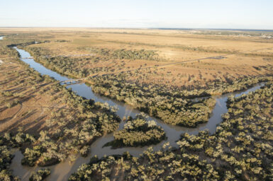Cooper Creek floodplain