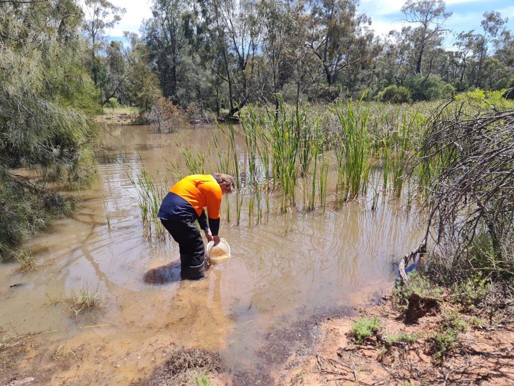 CSIRO scientist collecting water samples